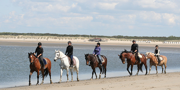 Paard Rijden